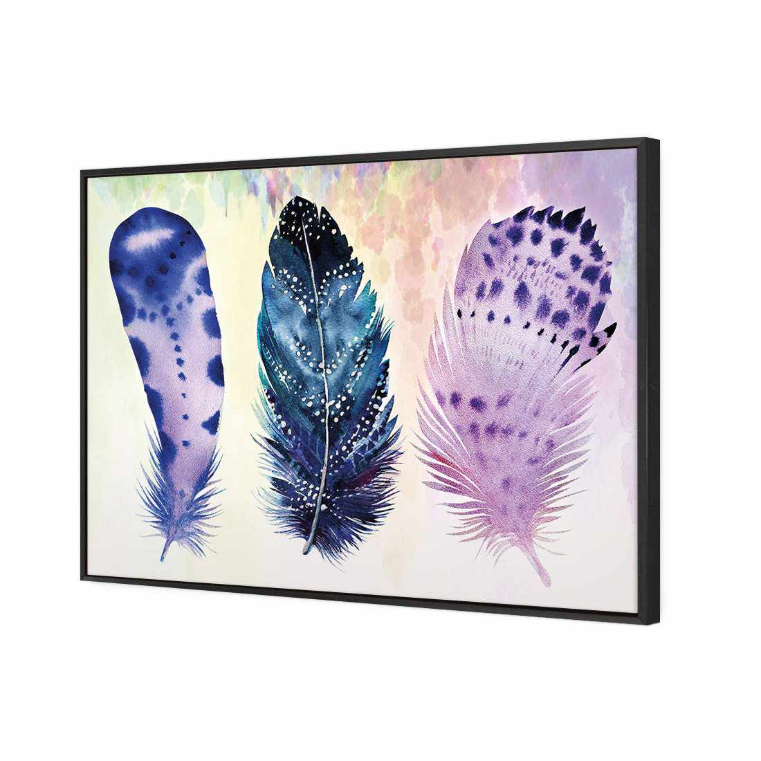 Boho Feathers Canvas Art-Canvas-Wall Art Designs-59X40cm-Canvas - Black Frame-Wall Art Designs