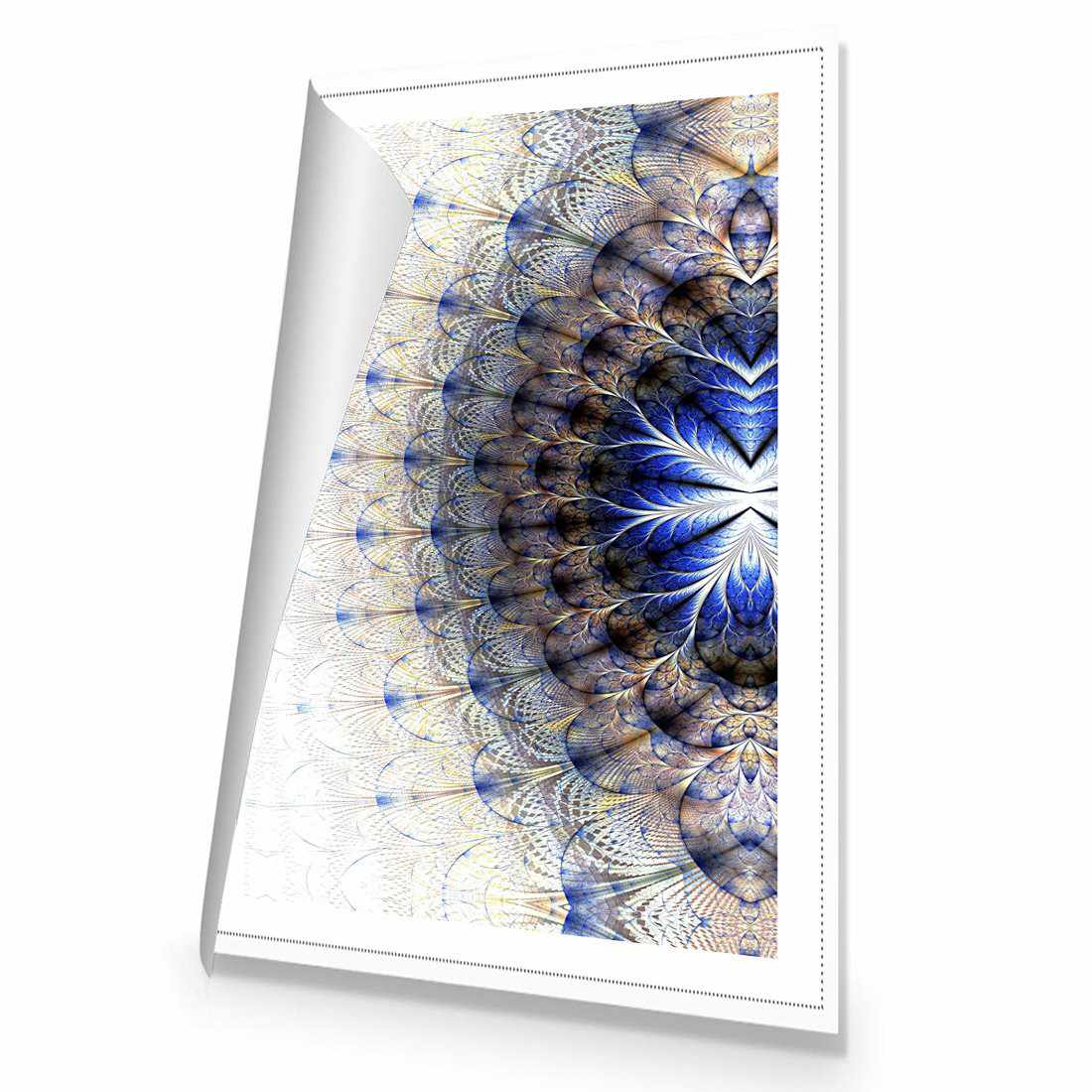 Peacocking | Classic Canvas | No Frame | Rolled Canvas