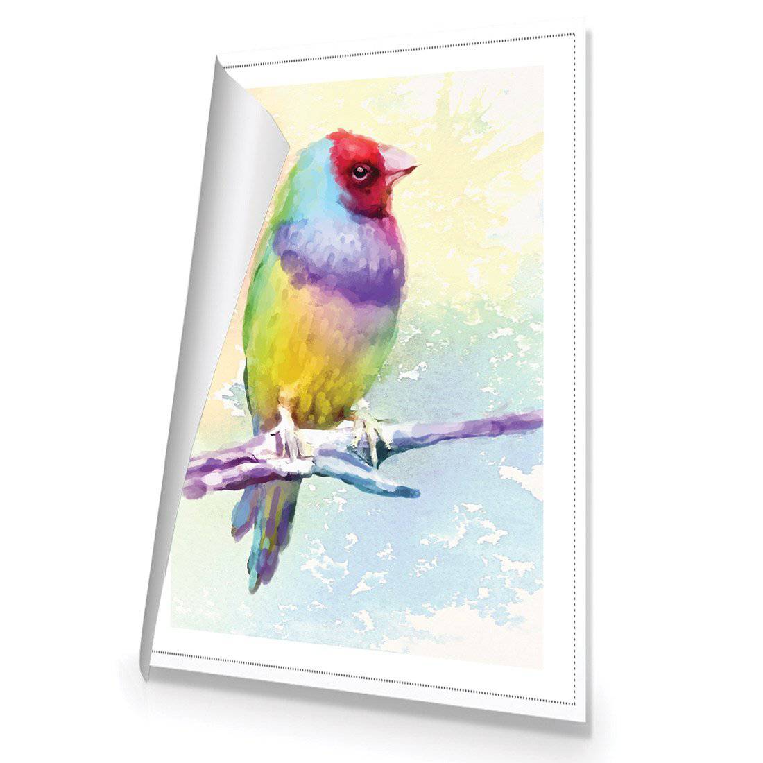 Watercolour Finch | Standard Canvas | No Frame | Rolled Canvas