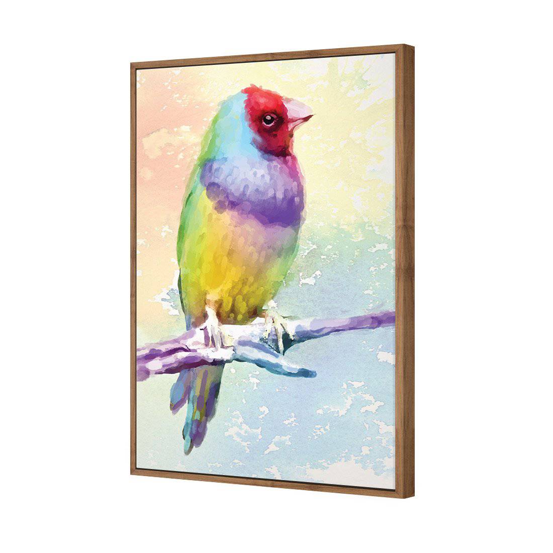 Watercolour Finch | Standard Canvas | Floating Frame | Natural