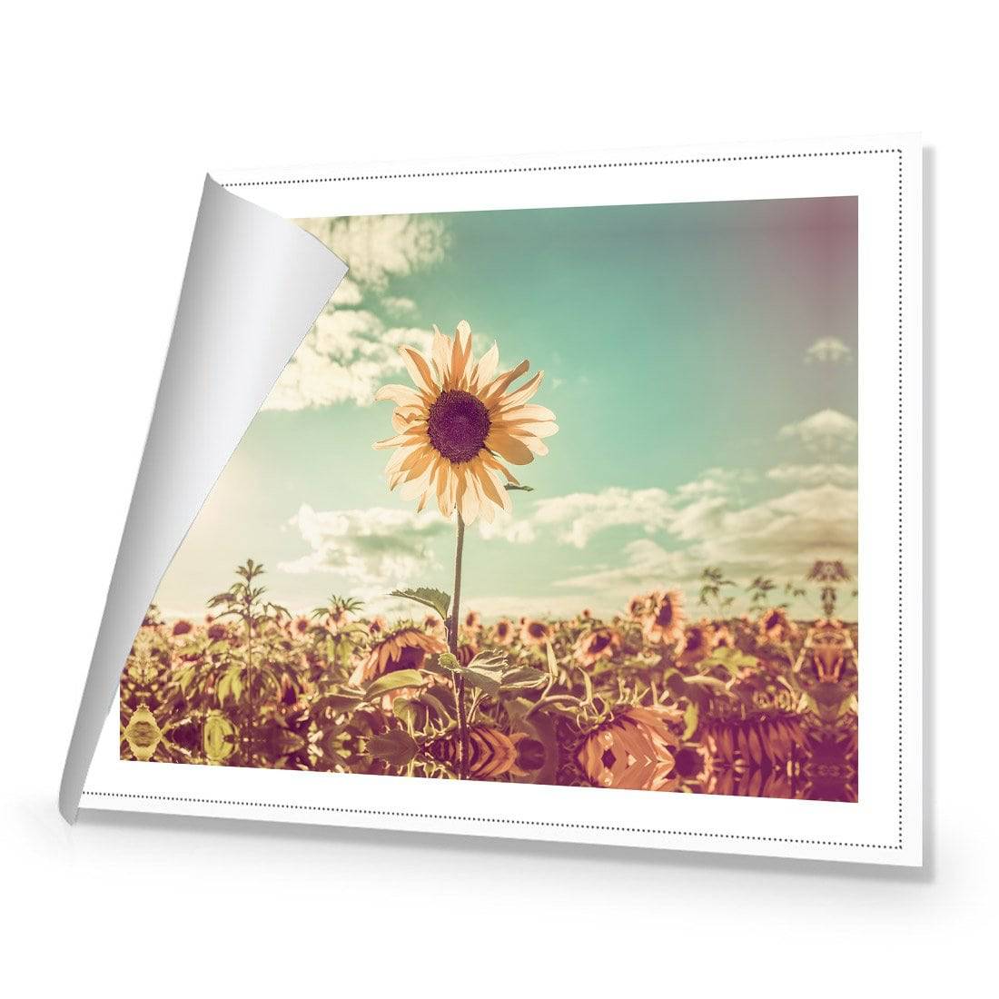 Sunflower Reborn | Classic Canvas | No Frame | Rolled Canvas