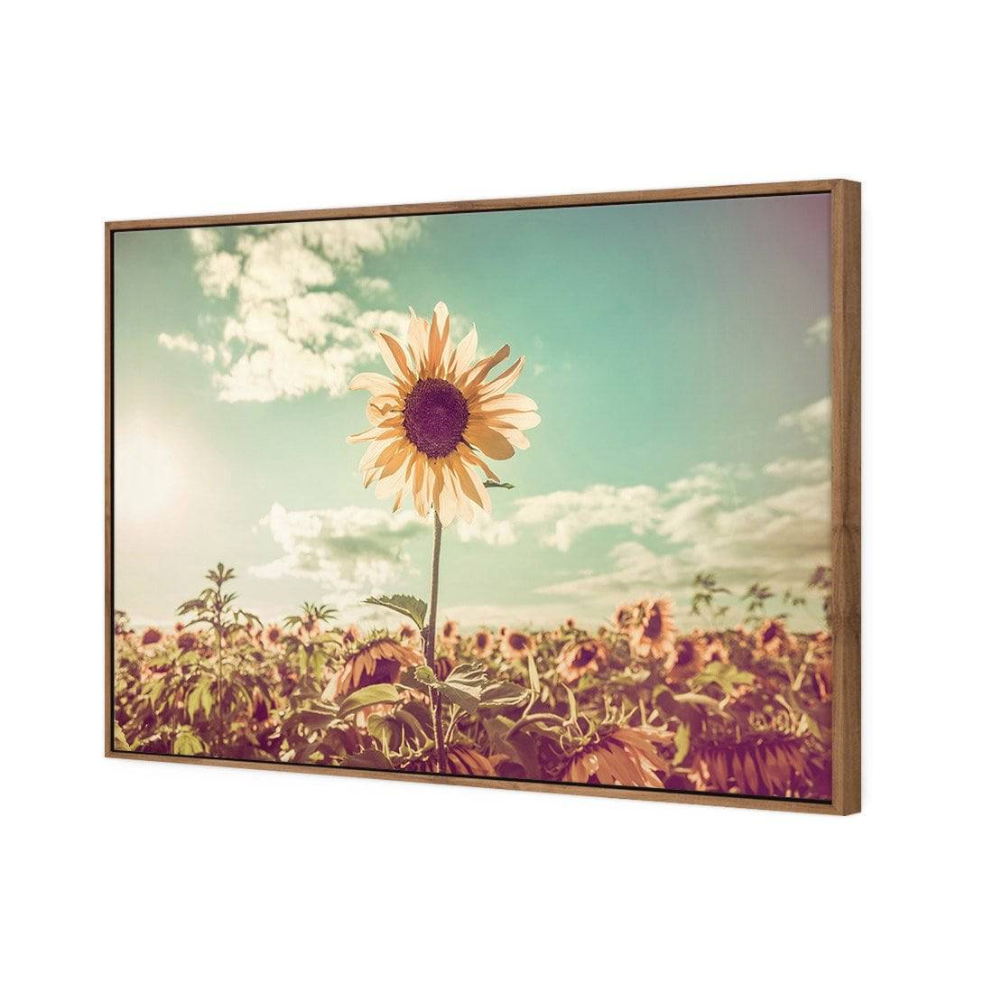 Sunflower Reborn | Classic Canvas | Floating Frame | Natural
