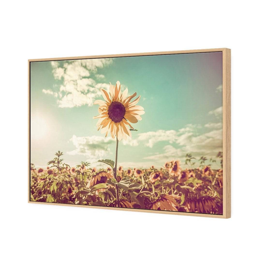 Sunflower Reborn Canvas Art-Canvas-Wall Art Designs-45x30cm-Canvas - Oak Frame-Wall Art Designs
