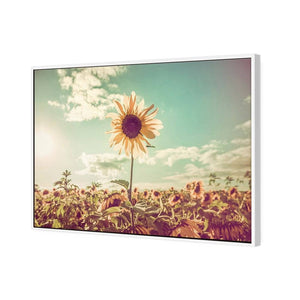 Sunflower Reborn | Classic Canvas | Floating Frame | White