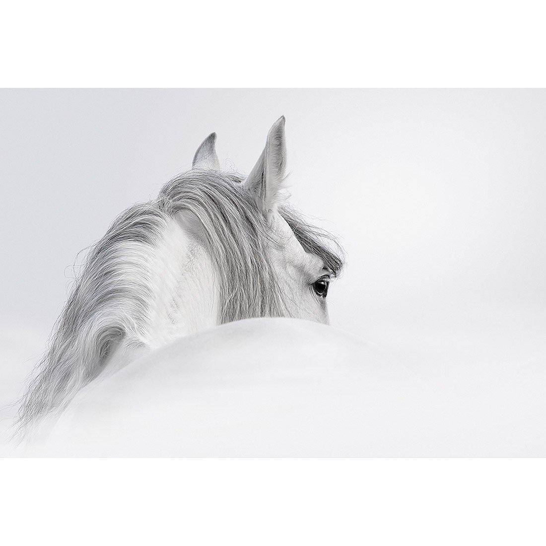 Andalusian Horse In The Mist Canvas Art