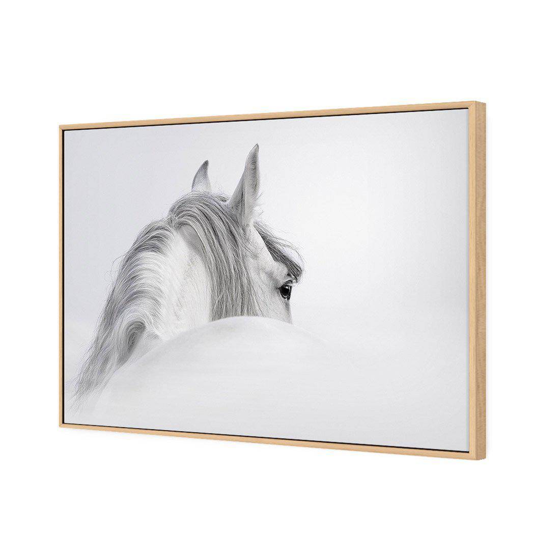 Andalusian Horse In The Mist Wall Art