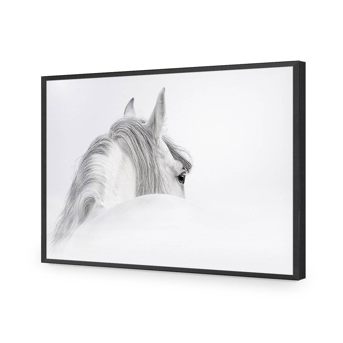 Andalusian Horse In The Mist Acrylic- Black Frame