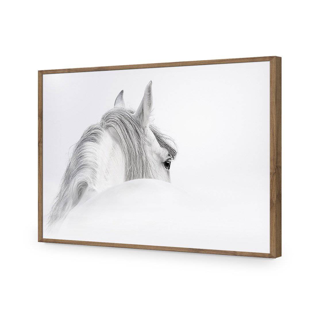 Andalusian Horse In a Mist Wall