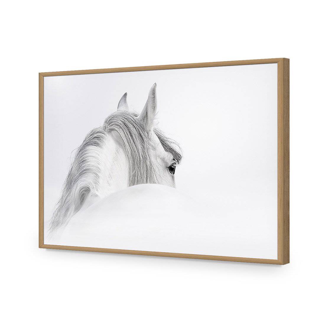 Andalusian Horse Acrylic Print