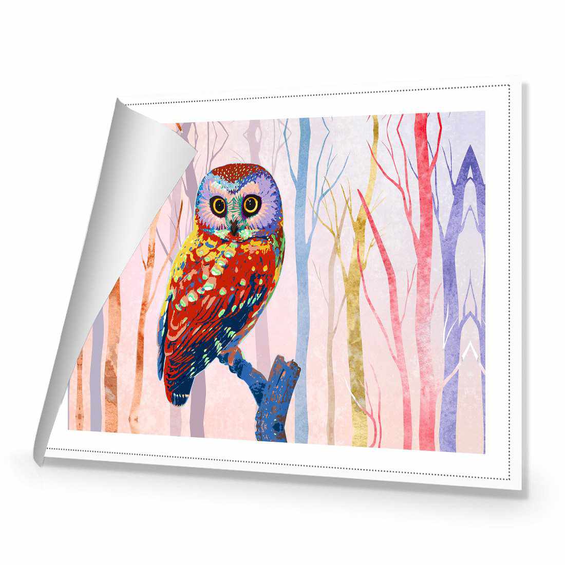 Bright Wise Owl, Light Canvas Art-Canvas-Wall Art Designs-45x30cm-Rolled Canvas-Wall Art Designs