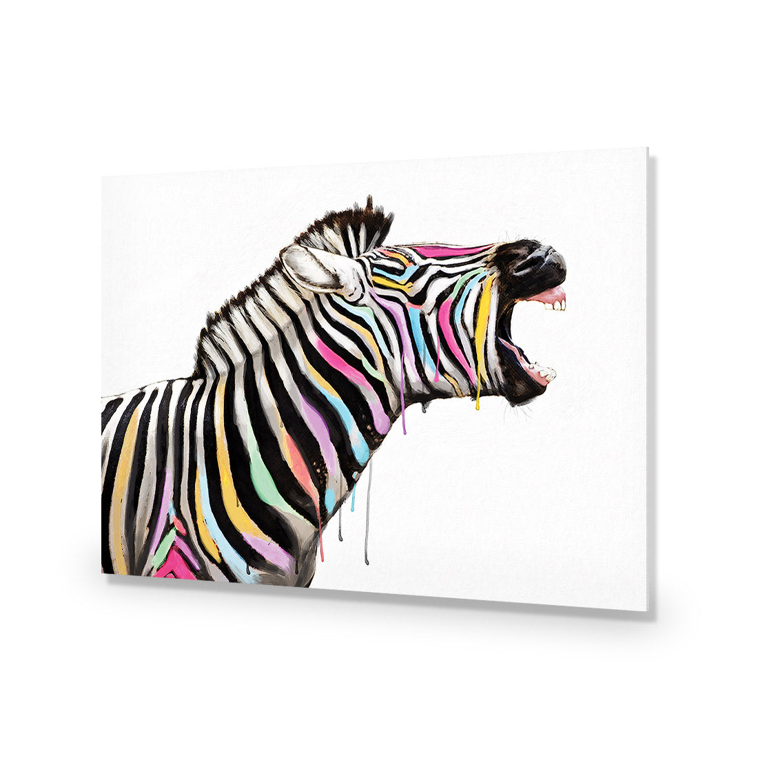 Laughing Stock, Rectangle | Classic Acrylic | No Frame No Border