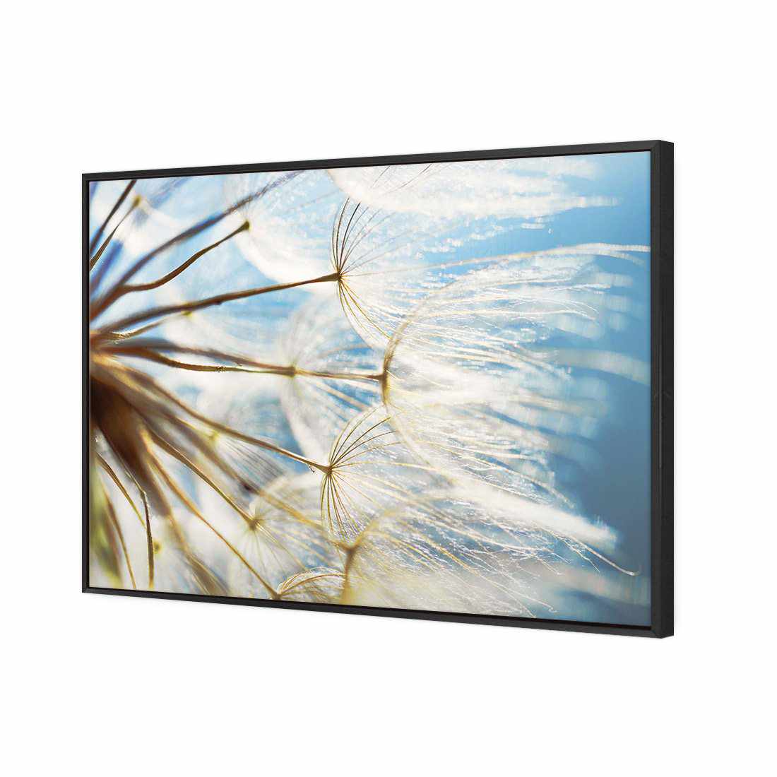 The Winds Of Dandy Canvas Art-Canvas-Wall Art Designs-45x30cm-Canvas - Black Frame-Wall Art Designs