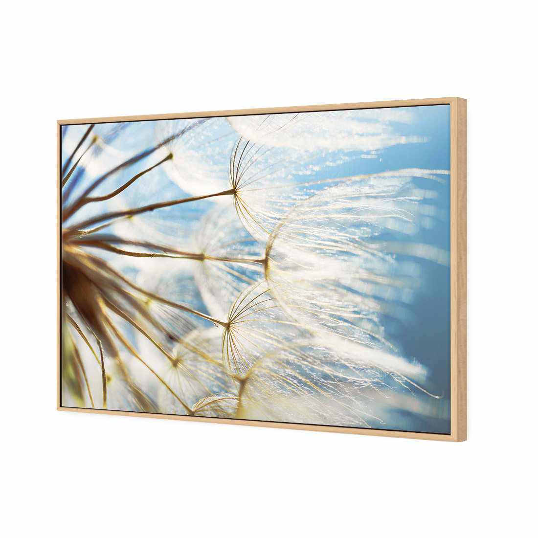 The Winds Of Dandy Canvas Art-Canvas-Wall Art Designs-45x30cm-Canvas - Oak Frame-Wall Art Designs