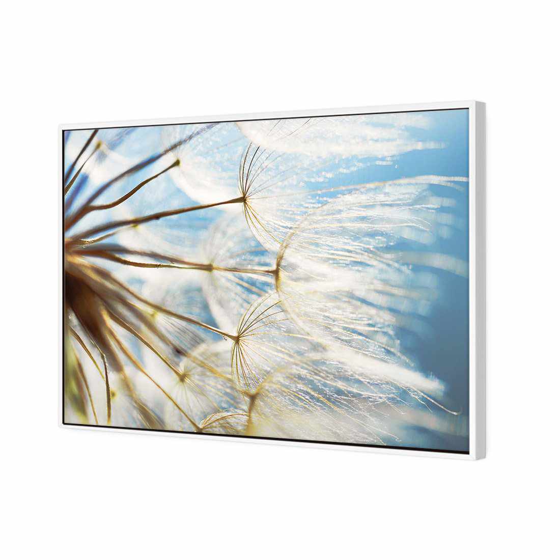 The Winds Of Dandy Canvas Art-Canvas-Wall Art Designs-45x30cm-Canvas - White Frame-Wall Art Designs