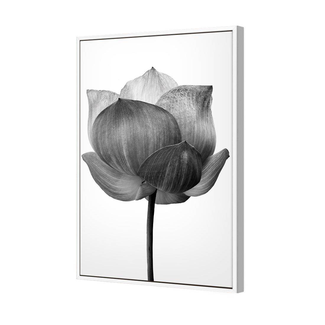 Black Lotus Canvas Art-Canvas-Wall Art Designs-45x30cm-Canvas - White Frame-Wall Art Designs