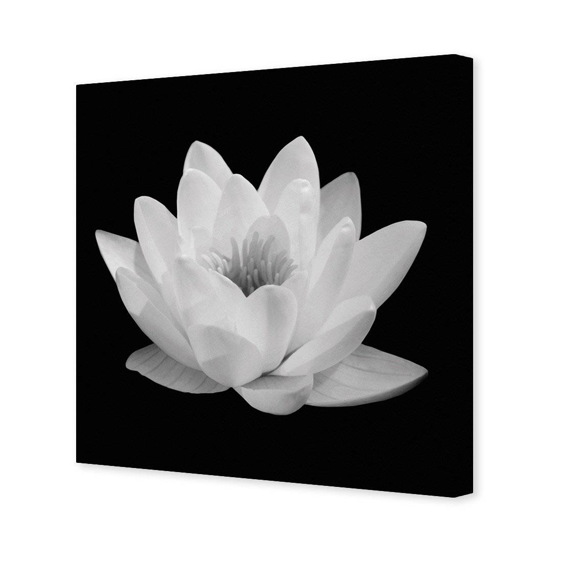 Lotus In Bloom, White Canvas Art-Canvas-Wall Art Designs-30x30cm-Canvas - No Frame-Wall Art Designs