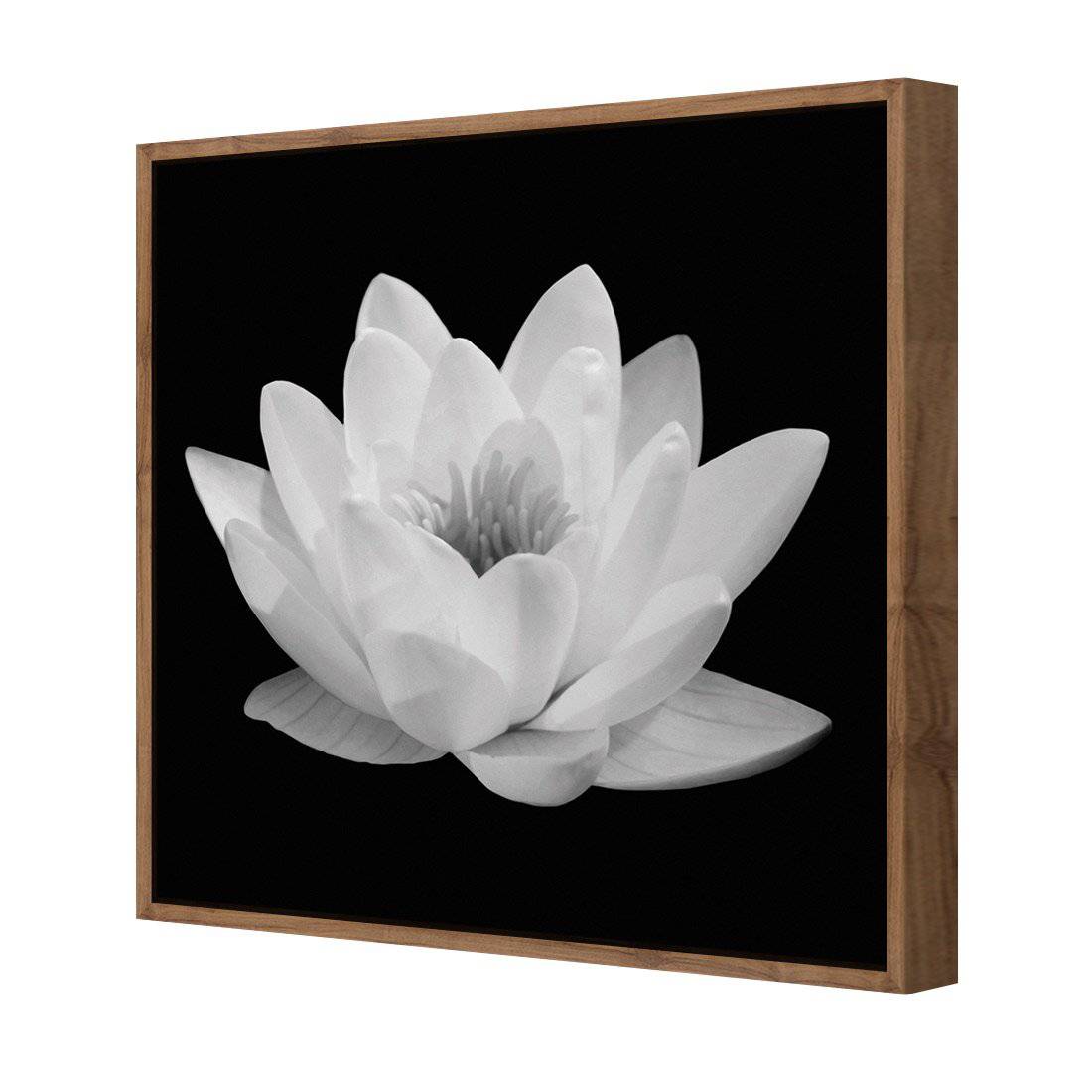 Lotus In Bloom, White Canvas Art-Canvas-Wall Art Designs-30x30cm-Canvas - Natural Frame-Wall Art Designs
