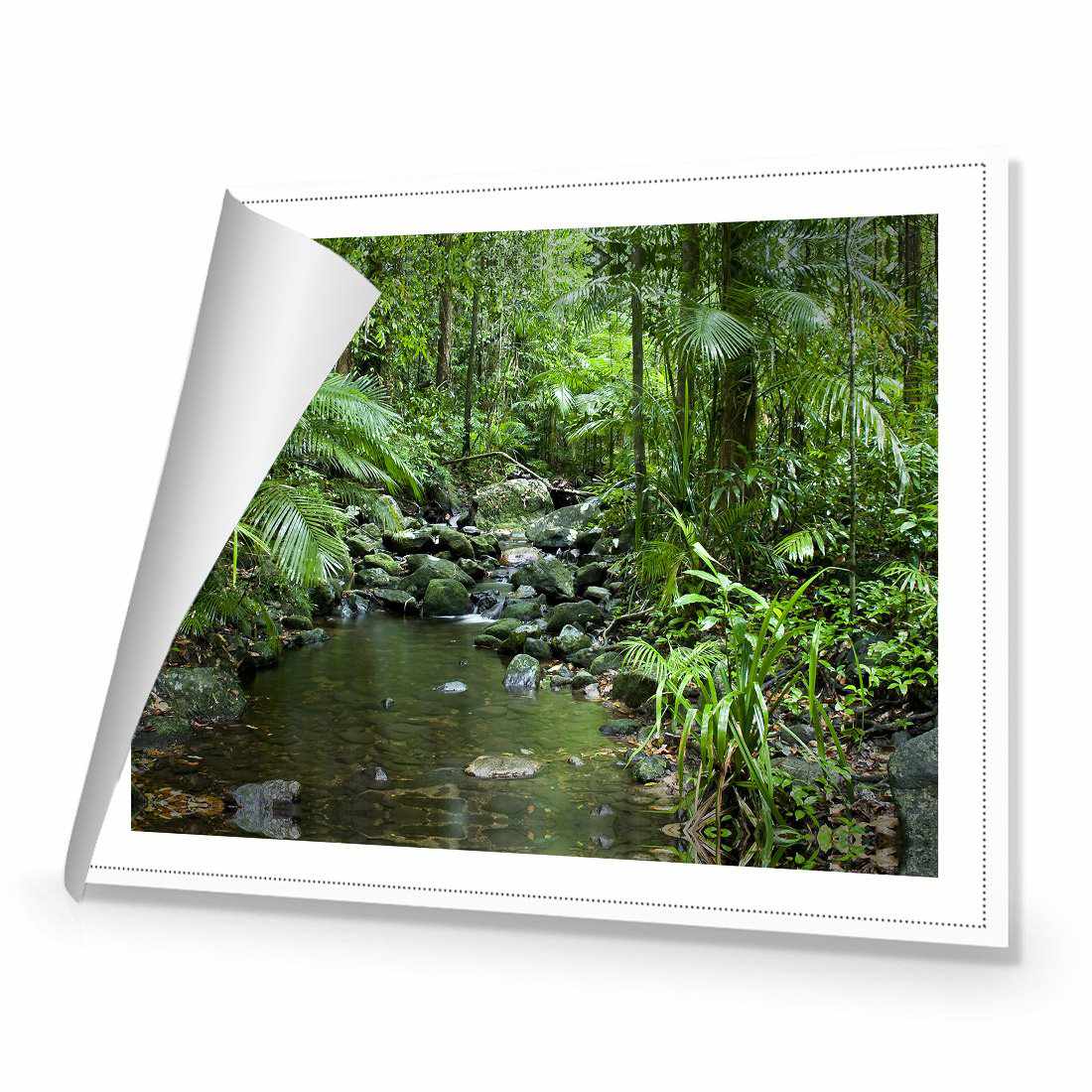 Mossman River In Daintree Rainforest Canvas Art-Canvas-Wall Art Designs-45x30cm-Rolled Canvas-Wall Art Designs
