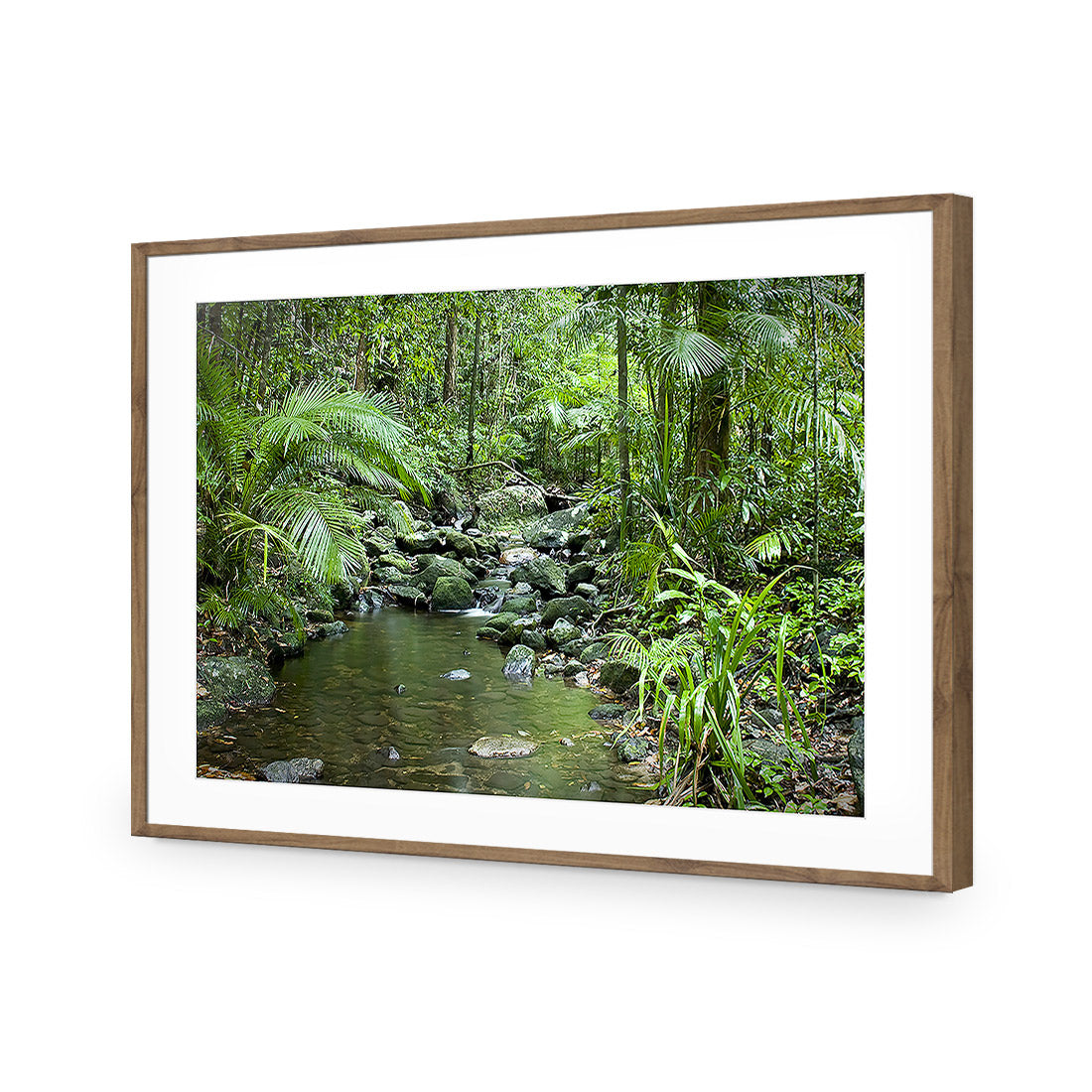 Mossman River In Daintree Rainforest Acrylic Glass Art