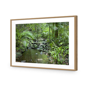 Mossman River In Daintree Rainforest, Rectangle | Classic Acrylic | Flat Frame With Border | Oak