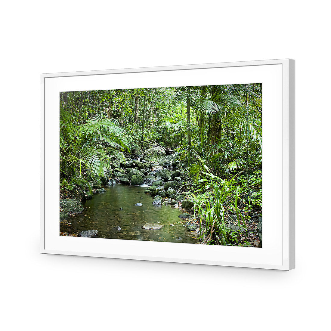 Mossman River In Daintree Rainforest Acrylic Glass Art