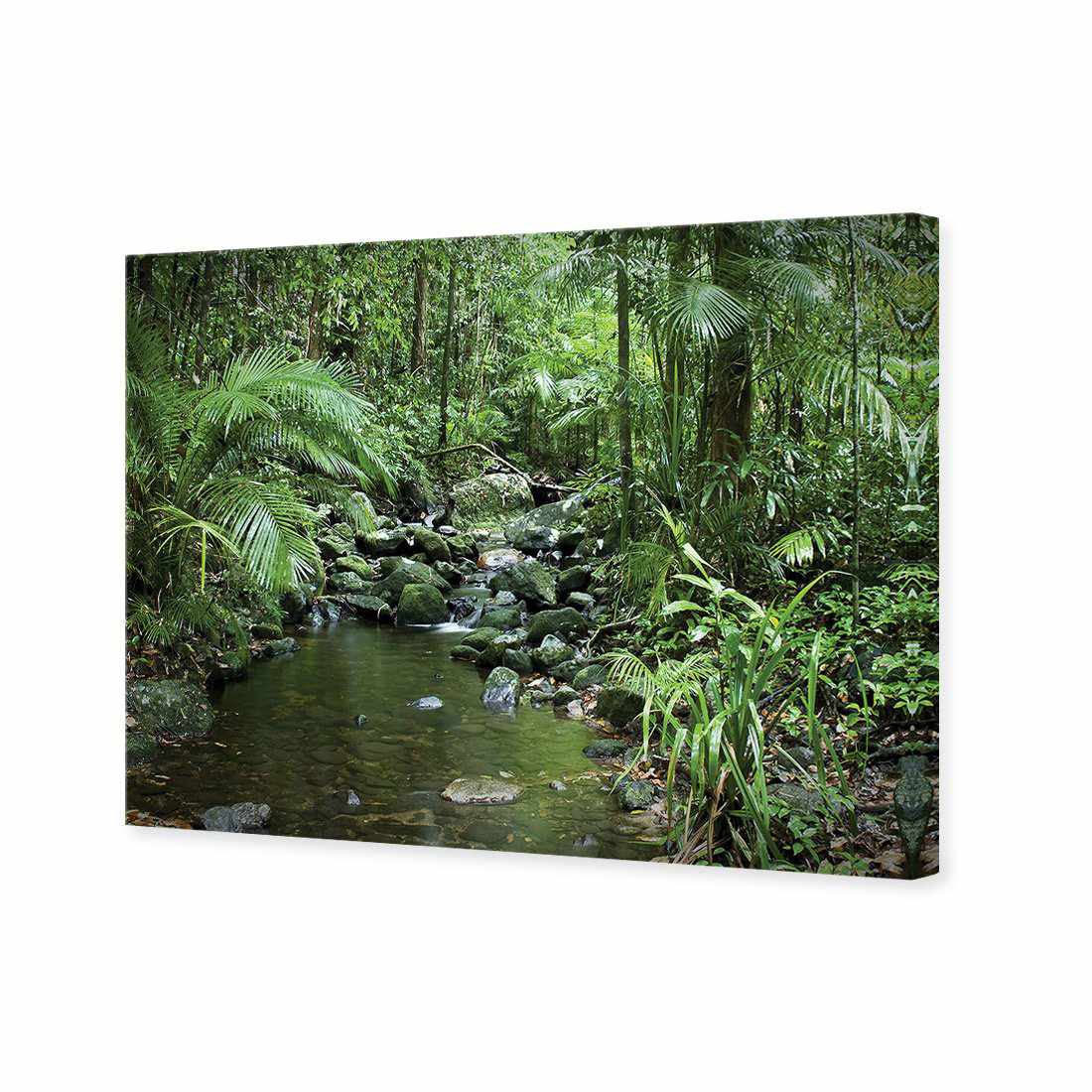 Mossman River In Daintree Rainforest Canvas Art-Canvas-Wall Art Designs-45x30cm-Canvas - No Frame-Wall Art Designs