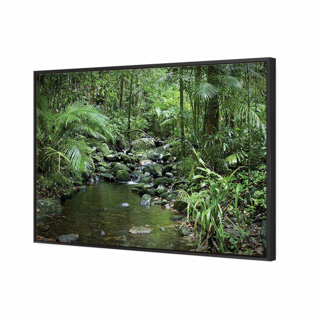 Mossman River In Daintree Rainforest Canvas Art-Canvas-Wall Art Designs-45x30cm-Canvas - Black Frame-Wall Art Designs