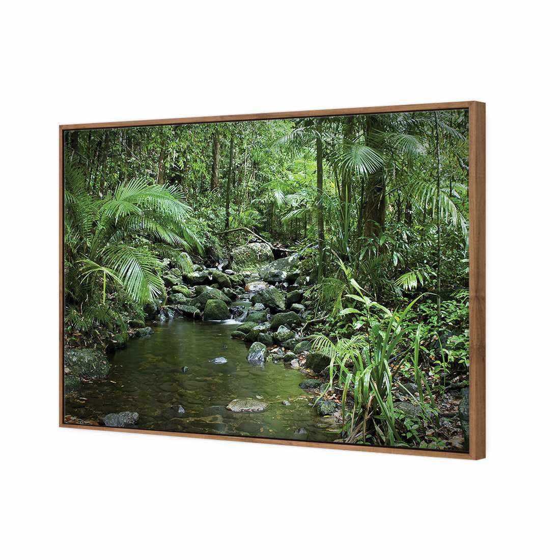 Mossman River In Daintree Rainforest Canvas Art-Canvas-Wall Art Designs-45x30cm-Canvas - Natural Frame-Wall Art Designs