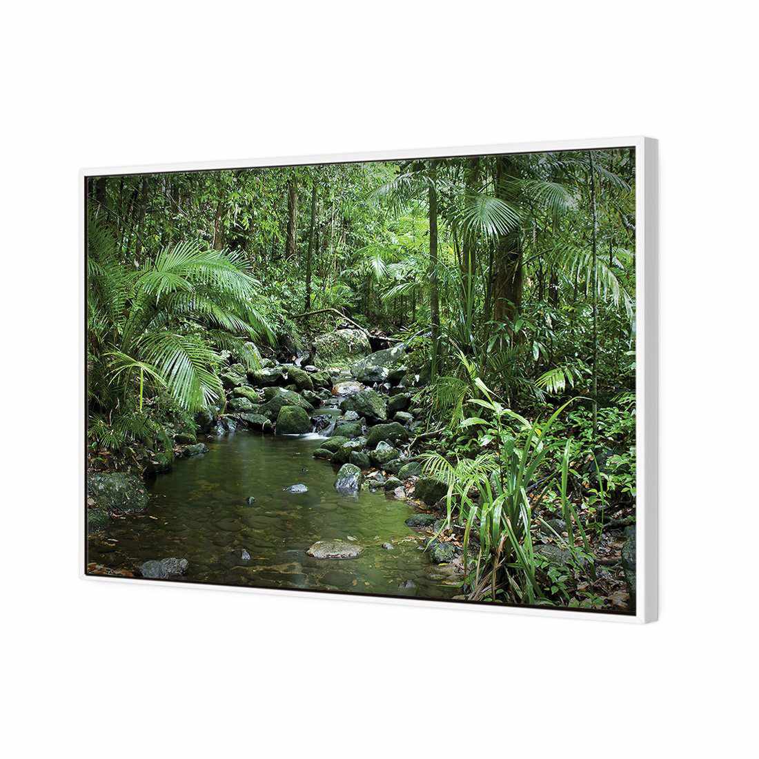 Mossman River In Daintree Rainforest Canvas Art-Canvas-Wall Art Designs-45x30cm-Canvas - White Frame-Wall Art Designs