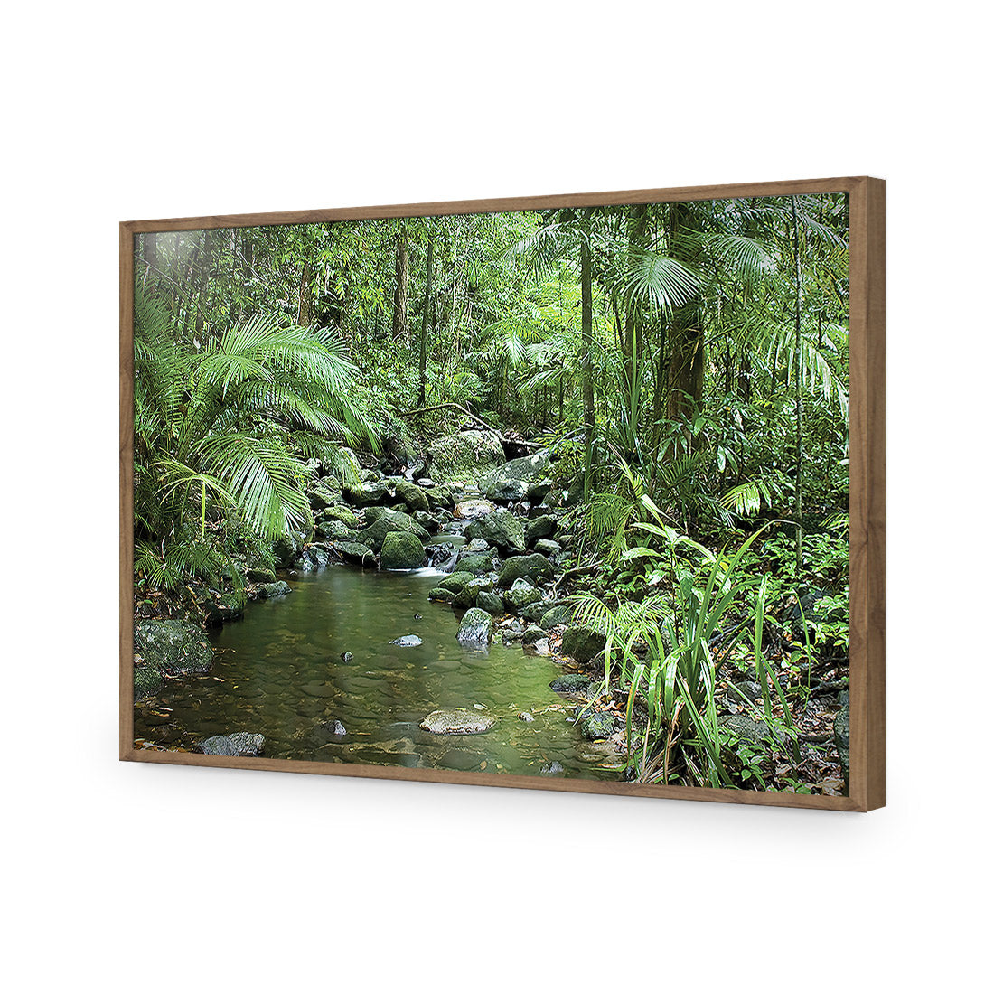 Mossman River In Daintree Rainforest, Rectangle | Classic Acrylic | Flat Frame No Border | Natural