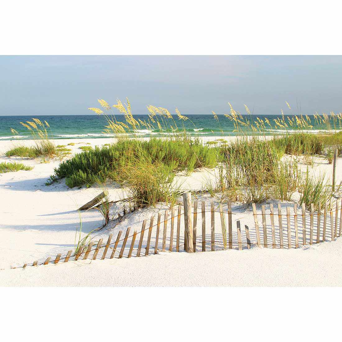 Sand Dune Reflections