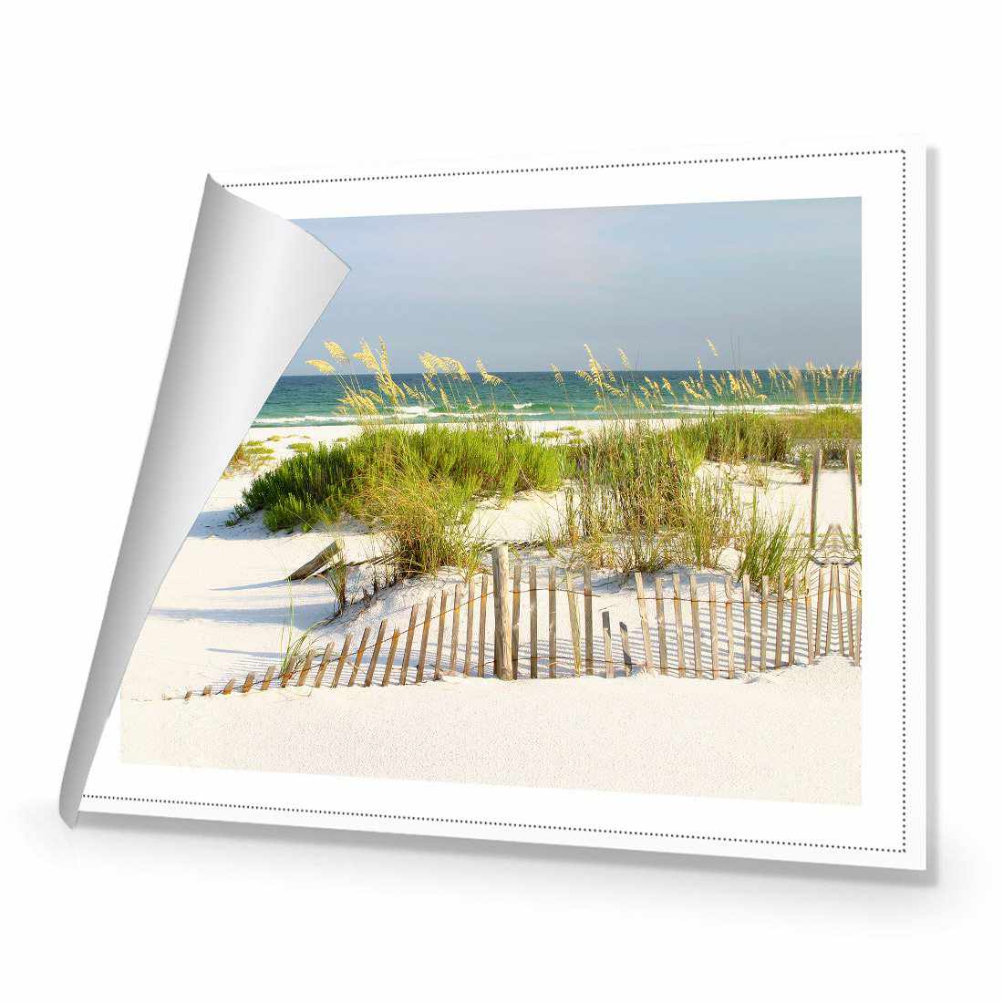 Sand Dune Reflections Canvas Art-Canvas-Wall Art Designs-45x30cm-Rolled Canvas-Wall Art Designs