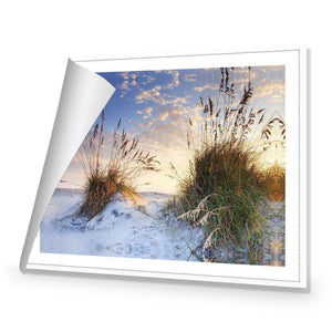 White Sand Dunes | Standard Canvas | No Frame | Rolled Canvas