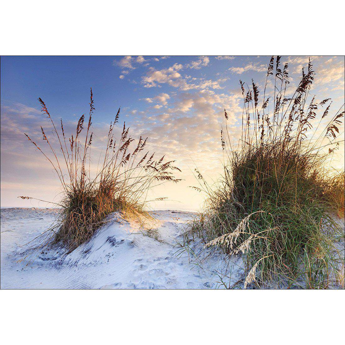 White Sand Dunes