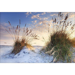 White Sand Dunes