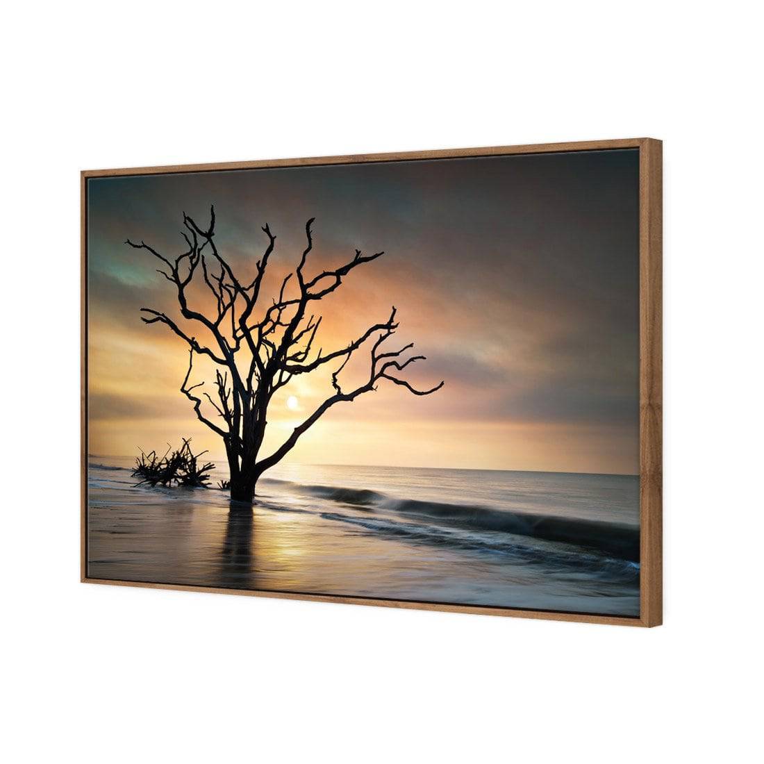 Botany Bay Sunrise Canvas Art-Canvas-Wall Art Designs-45x30cm-Canvas - Natural Frame-Wall Art Designs