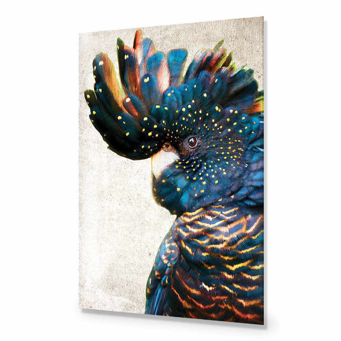 Black Cockatoo Side, Grunge Acrylic Glass Art-Acrylic-Wall Art Designs-Without Border-Acrylic - No Frame-45x30cm-Wall Art Designs