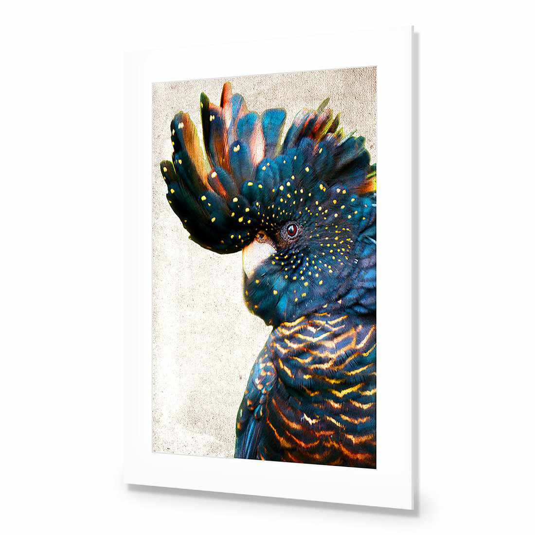 Black Cockatoo Side, Grunge Acrylic Glass Art-Acrylic-Wall Art Designs-With Border-Acrylic - No Frame-45x30cm-Wall Art Designs