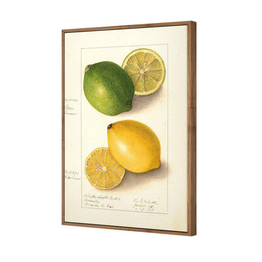 Watercolour Green Lemon And Ripe Lemon Canvas Art-Canvas-Wall Art Designs-45x30cm-Canvas - Natural Frame-Wall Art Designs