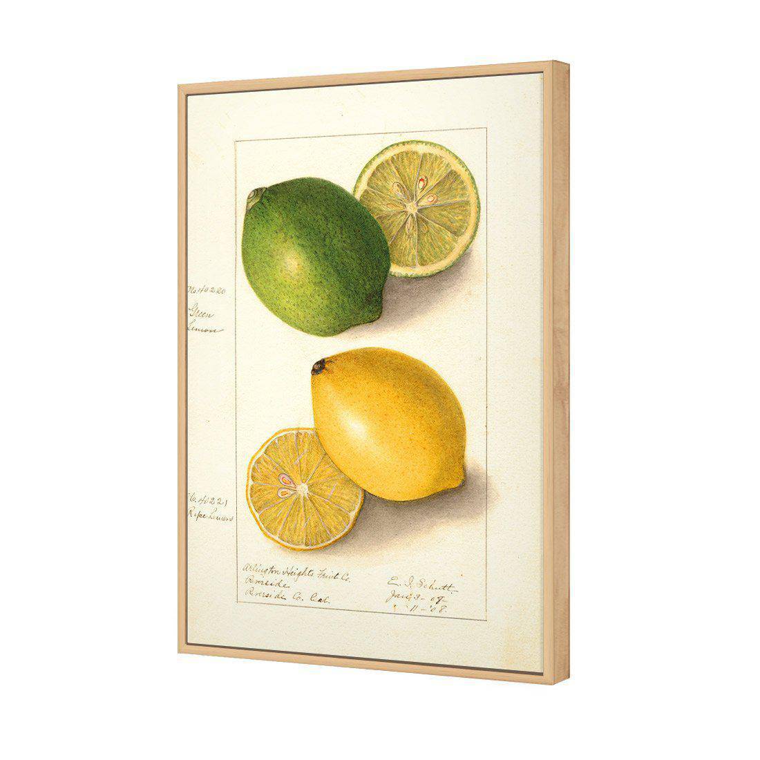 Watercolour Green Lemon And Ripe Lemon Canvas Art-Canvas-Wall Art Designs-45x30cm-Canvas - Oak Frame-Wall Art Designs