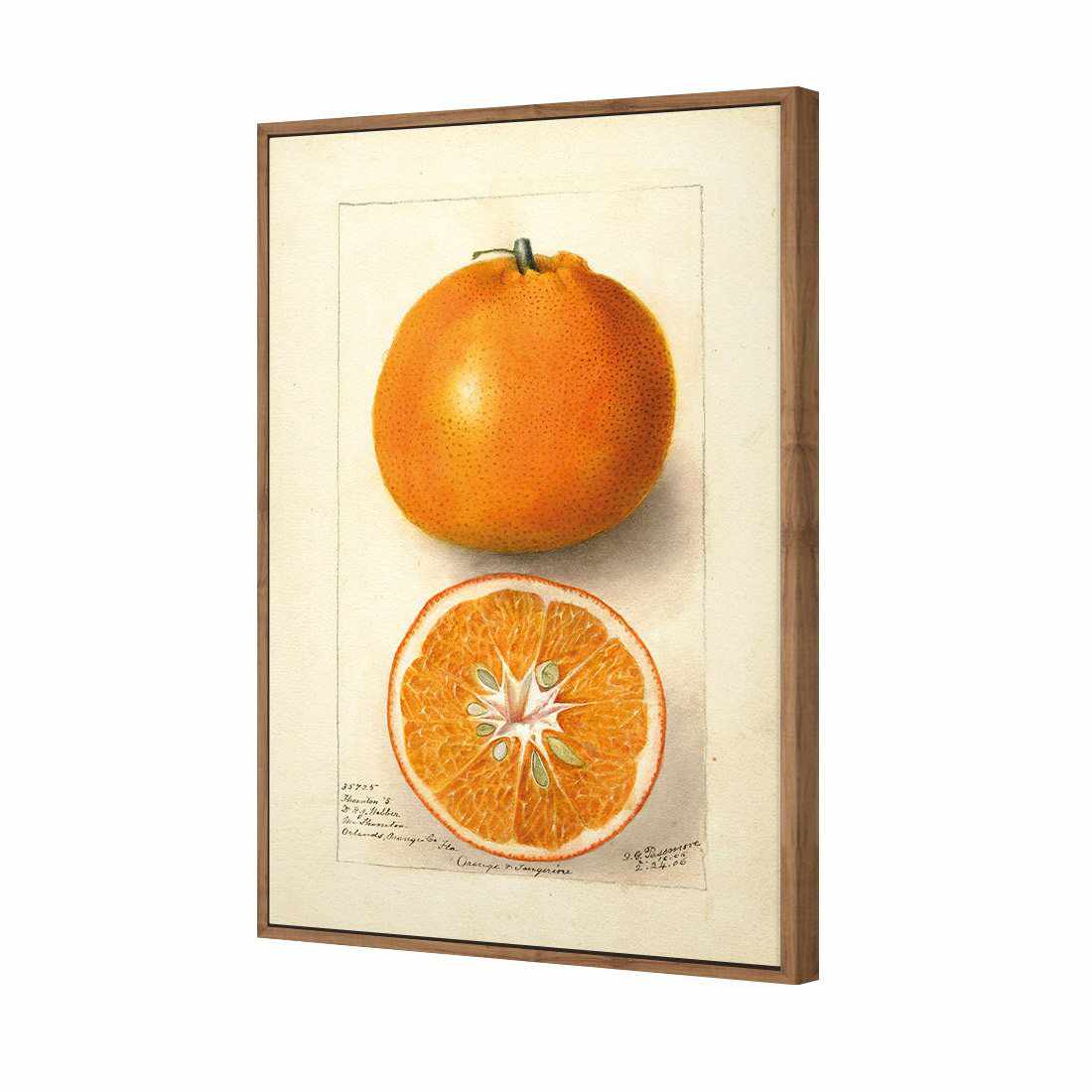Watercolour Orange Tangerine Canvas Art-Canvas-Wall Art Designs-45x30cm-Canvas - Natural Frame-Wall Art Designs