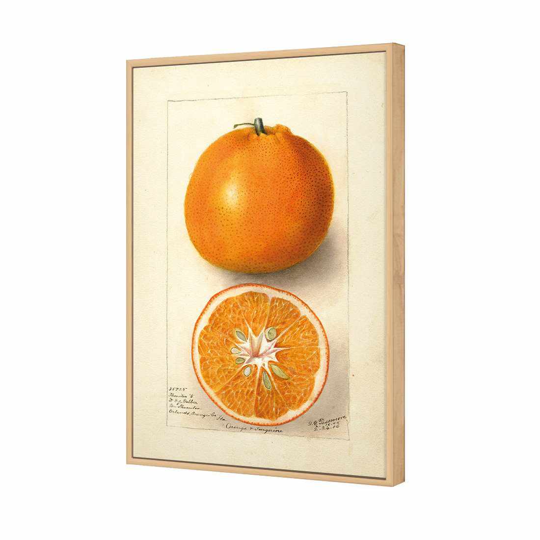 Watercolour Orange Tangerine Canvas Art-Canvas-Wall Art Designs-45x30cm-Canvas - Oak Frame-Wall Art Designs