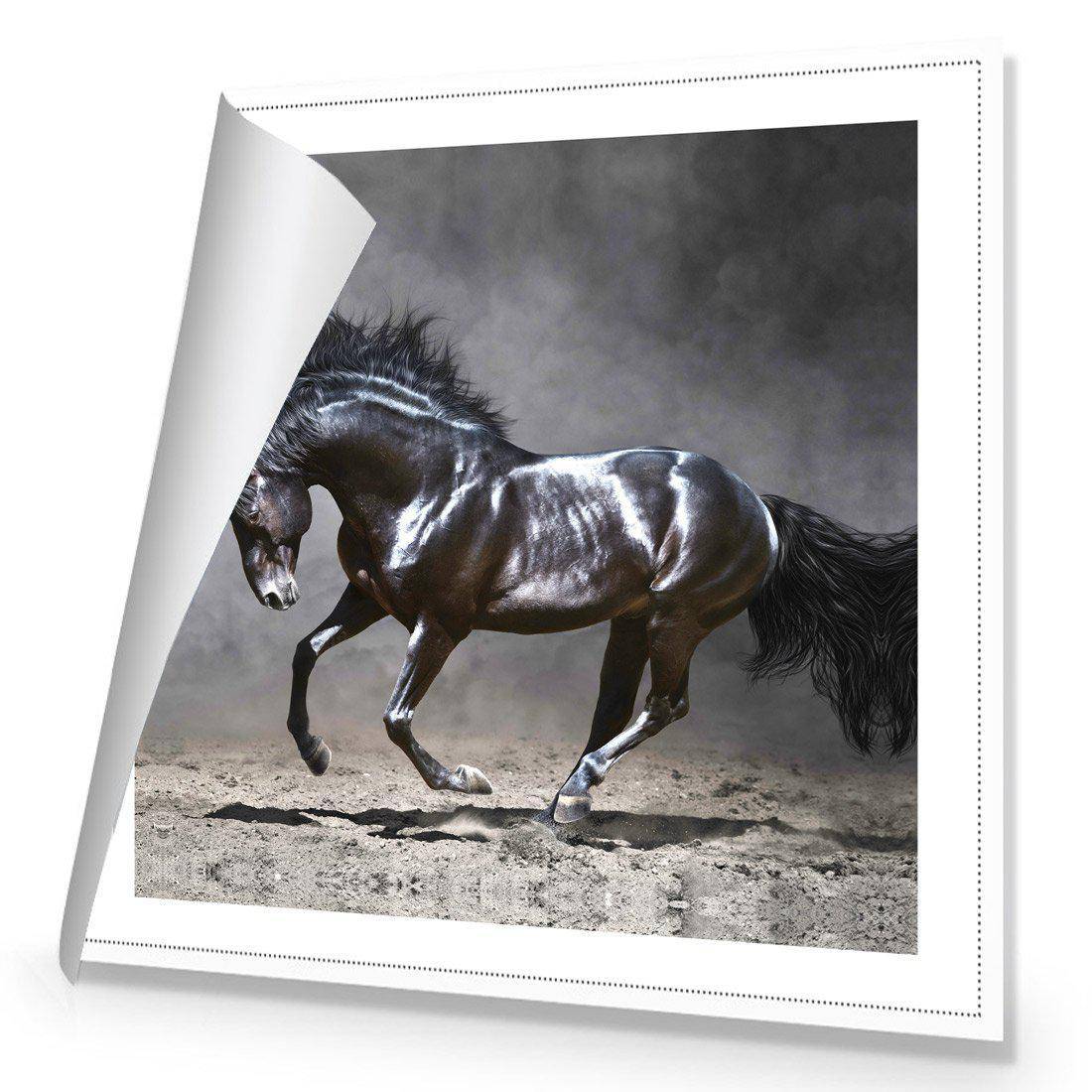 Dark Horse, Moonlight Canvas Art-Canvas-Wall Art Designs-30x30cm-Rolled Canvas-Wall Art Designs