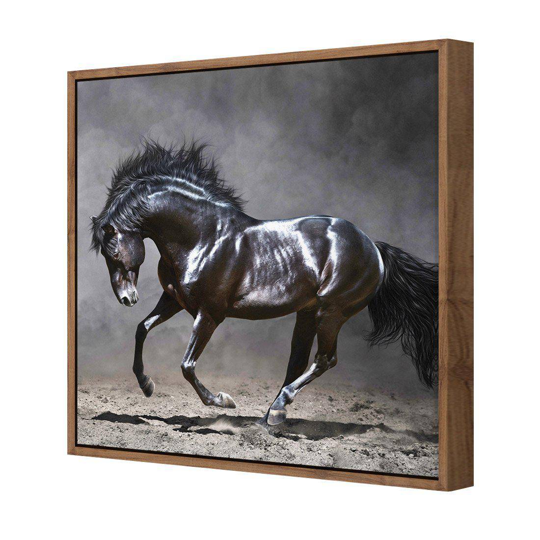 Dark Horse, Moonlight Canvas Art-Canvas-Wall Art Designs-30x30cm-Canvas - Natural Frame-Wall Art Designs