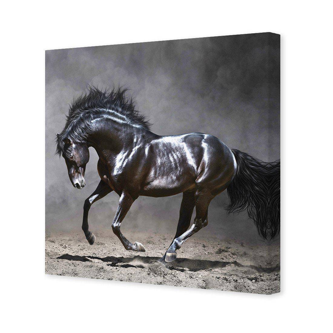 Dark Horse, Moonlight Canvas Art-Canvas-Wall Art Designs-30x30cm-Canvas - No Frame-Wall Art Designs