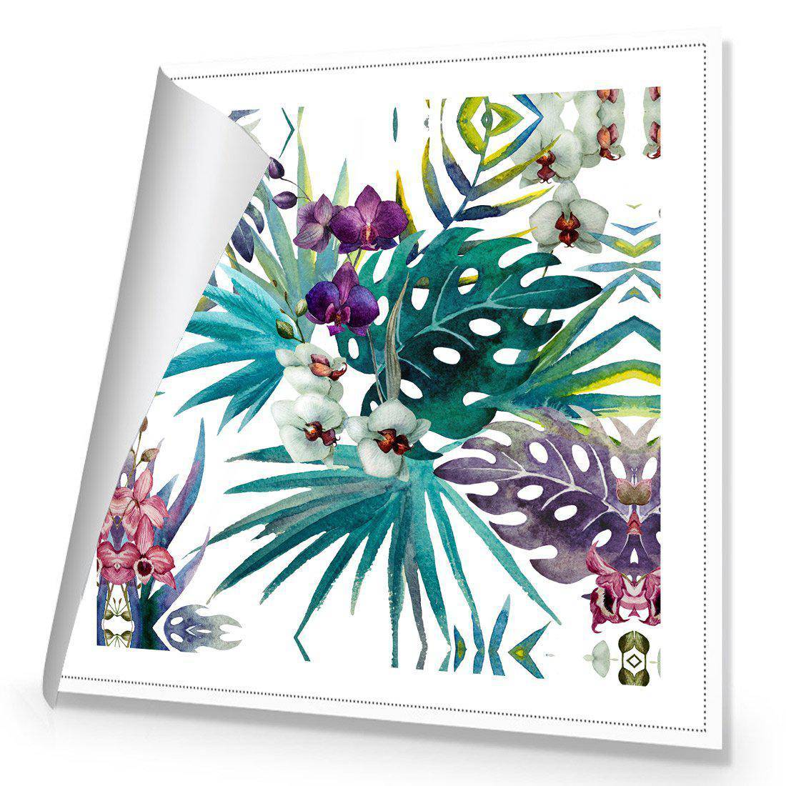 Orchid Exotica Canvas Art-Canvas-Wall Art Designs-30x30cm-Rolled Canvas-Wall Art Designs