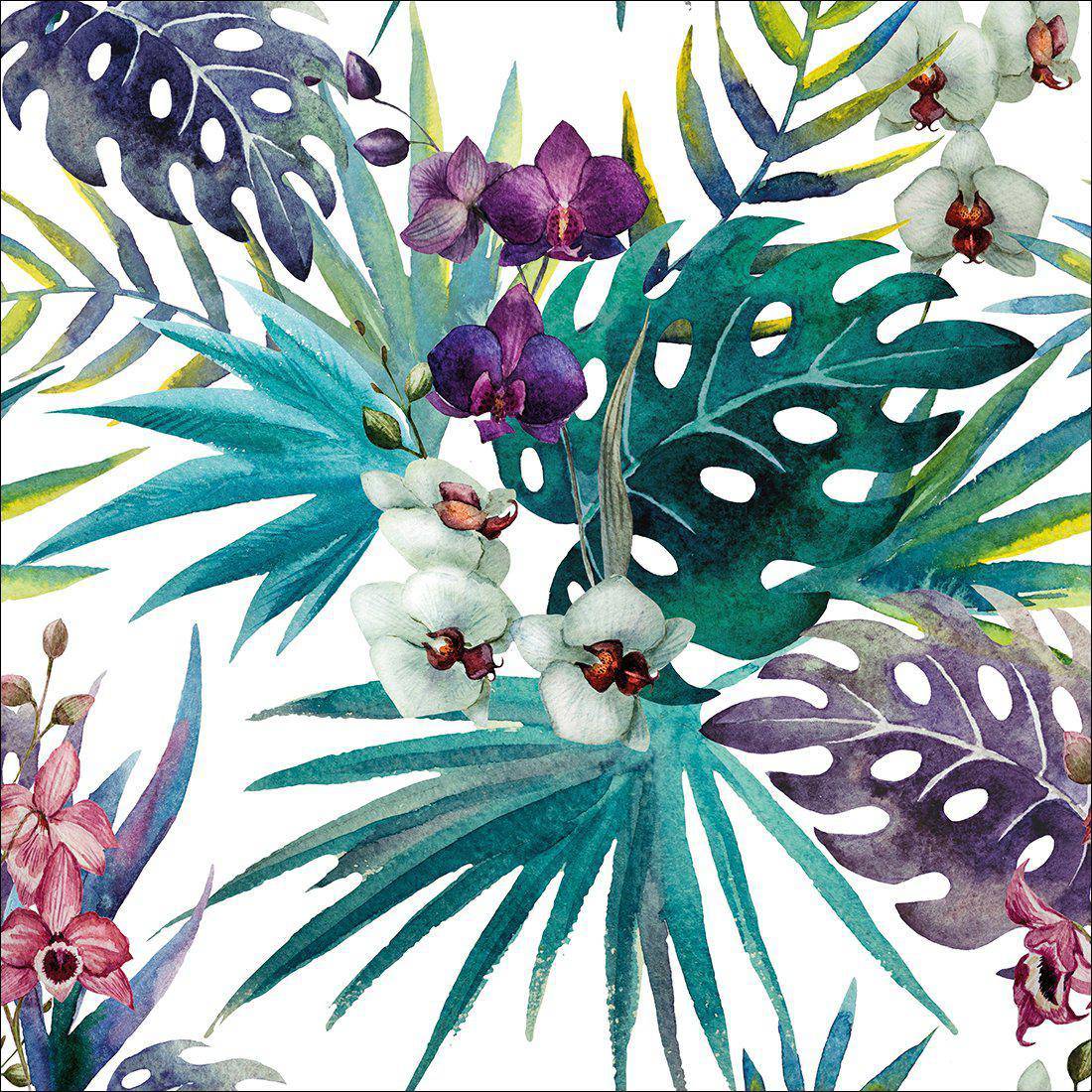 Orchid Exotica, Square
