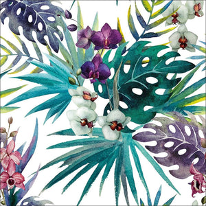 Orchid Exotica, Square