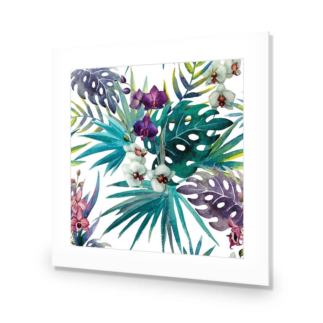 Orchid Exotica, Square-Acrylic-Wall Art Design-With Border-Acrylic - No Frame-37x37cm-Wall Art Designs