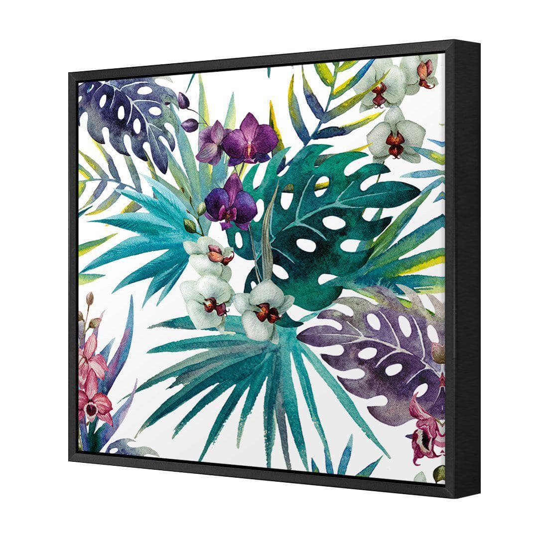 Orchid Exotica Canvas Art-Canvas-Wall Art Designs-30x30cm-Canvas - Black Frame-Wall Art Designs